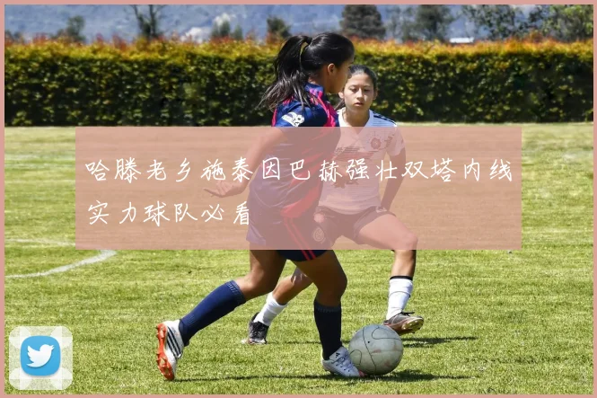 哈滕老乡施泰因巴赫强壮双塔内线实力球队必看